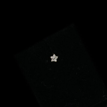 Attractive-Star-Diamond-Nosepin-01-dgoldpassion