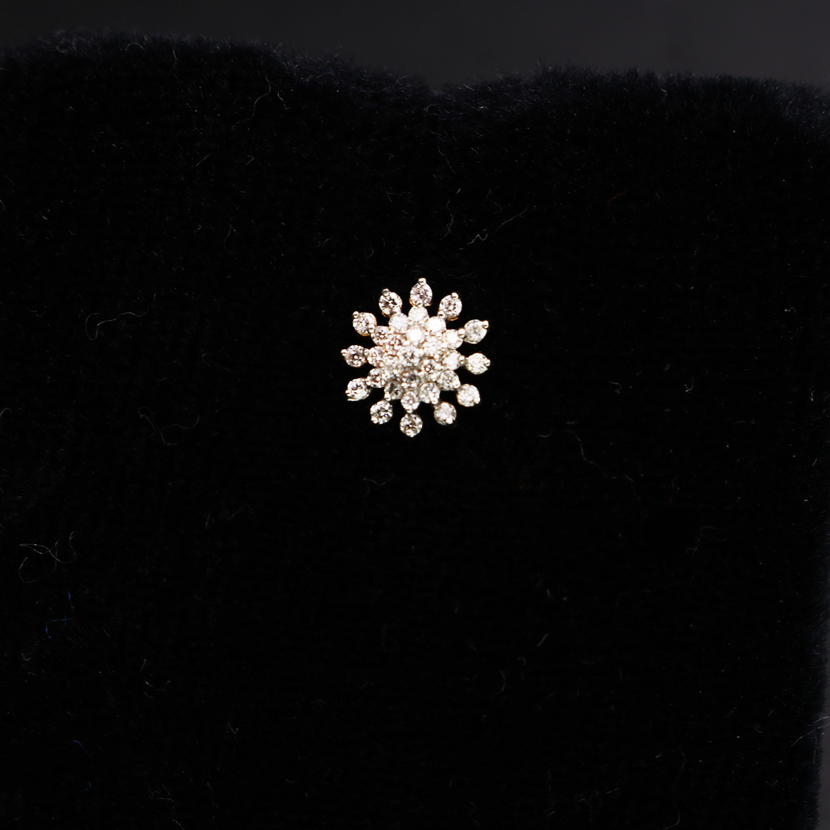 Exotic-Diamond-Nosepin-02-dgoldpassion